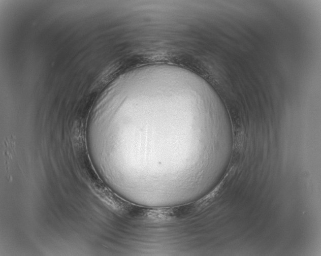 X0000078830179200612041823