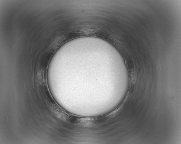 X0000078830182200612041823