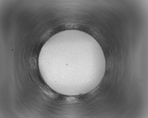 X0000078830183200612041823