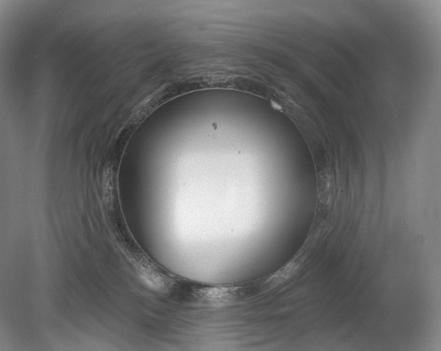 X0000078830184200612041823