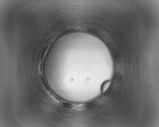 X0000078830185200612041823