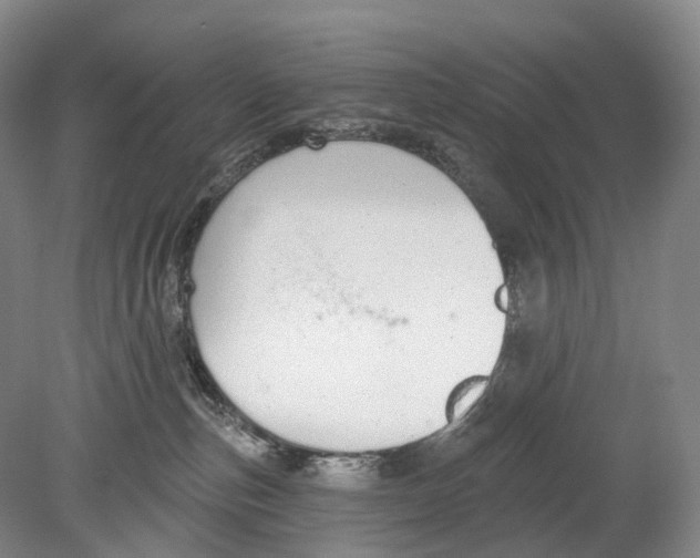 X0000078830187200612041823