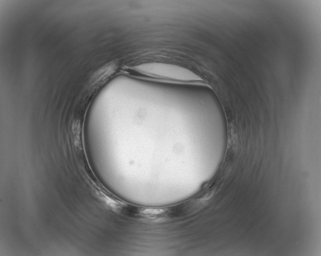 X0000078830189200612041823