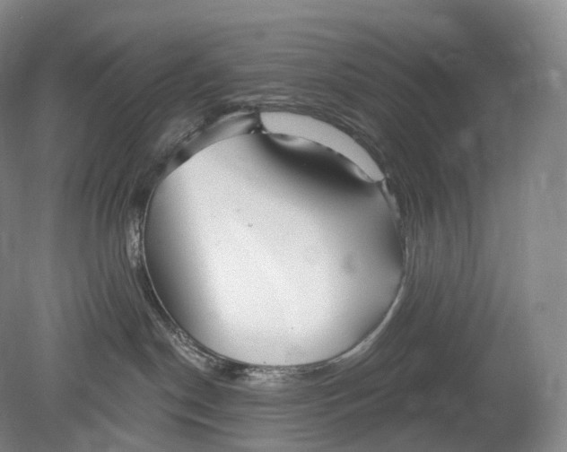 X0000078830190200612041823