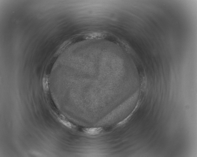 X0000078830191200612041823