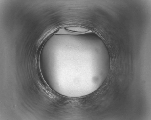 X0000078830194200612041822