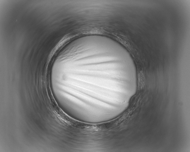 X0000078830195200612041822