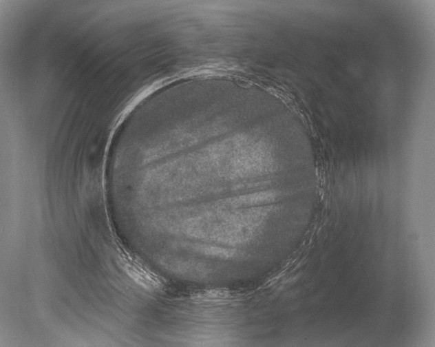 X0000078830196200612041822