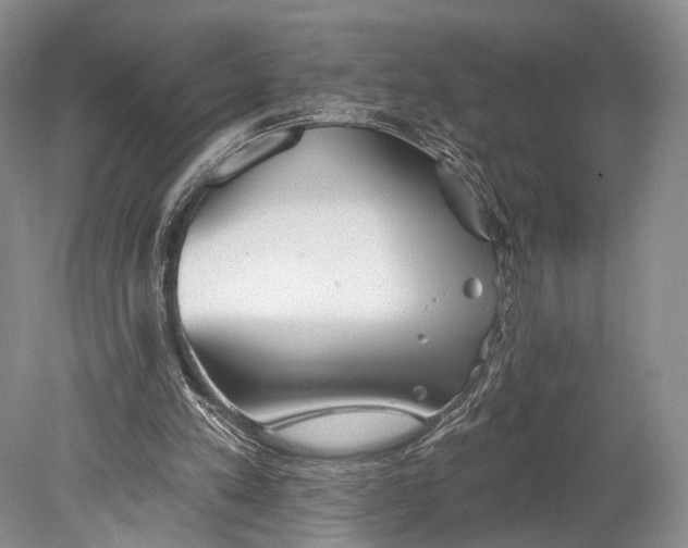 X0000078830197200612041822