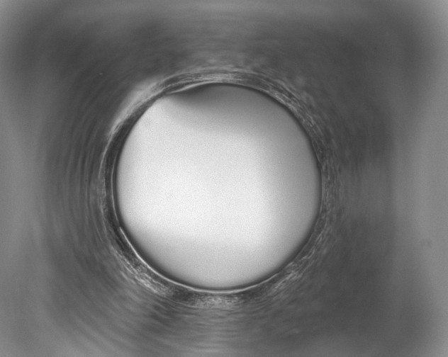 X0000078830198200612041822