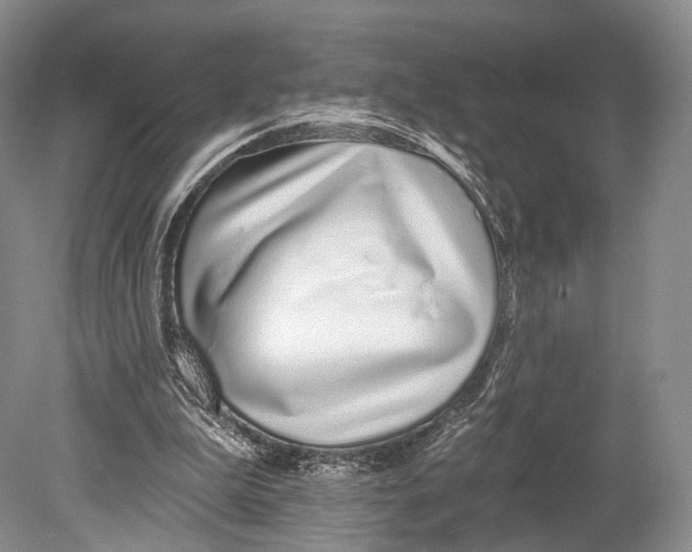 X0000078830199200612041822