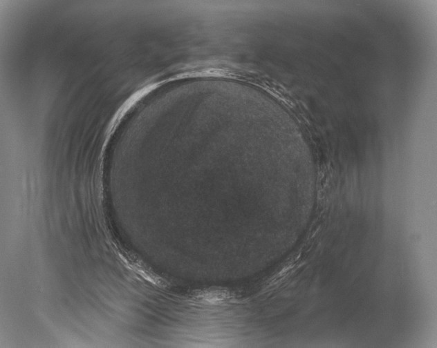 X0000078830200200612041822