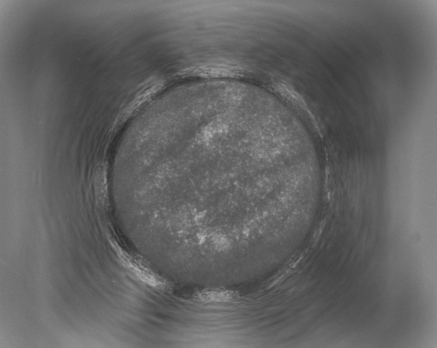 X0000078830202200612041822