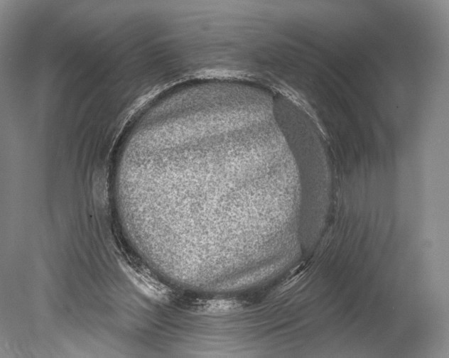 X0000078830204200612041822