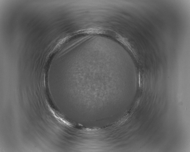 X0000078830205200612041822