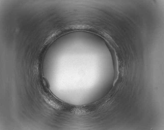 X0000078830207200612041822