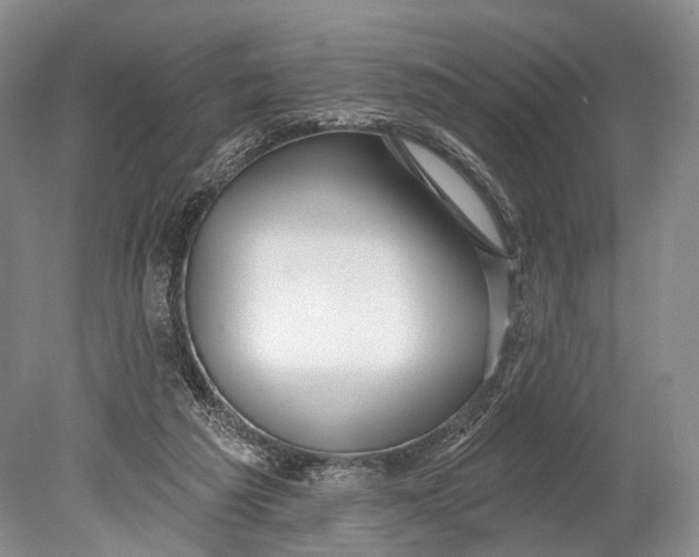 X0000078830209200612041822