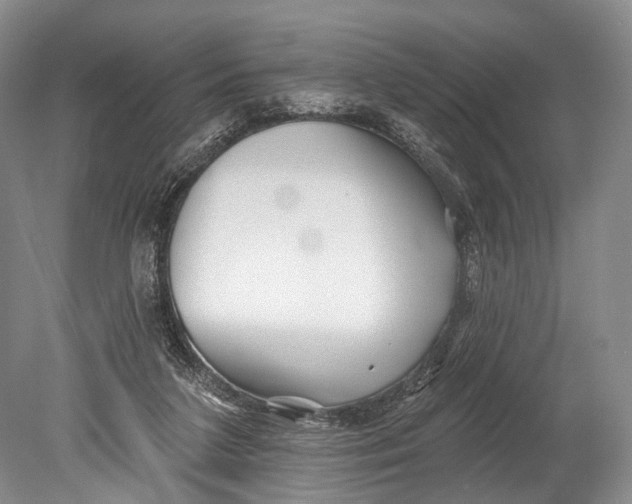 X0000078830211200612041822