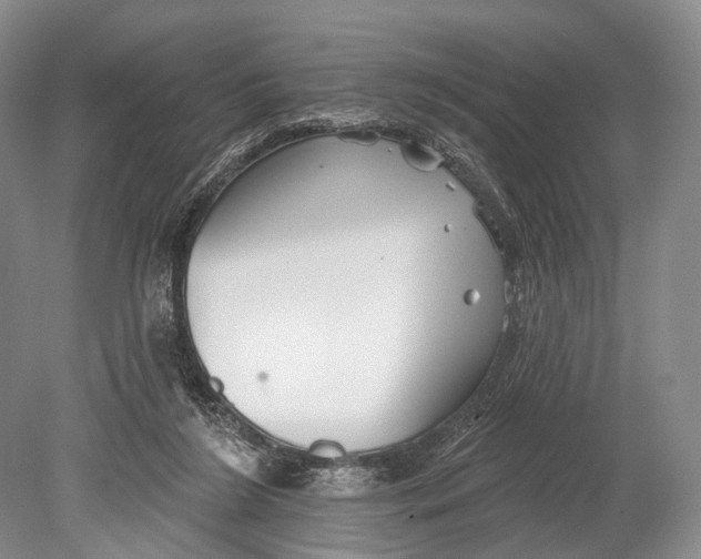 X0000078830212200612041822