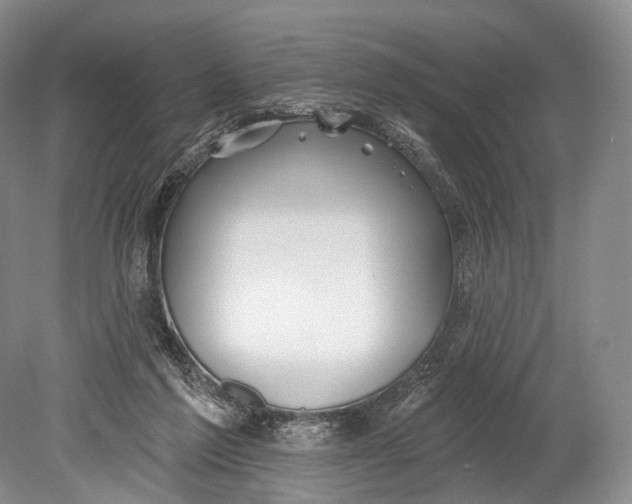 X0000078830213200612041822