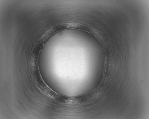 X0000078830215200612041822