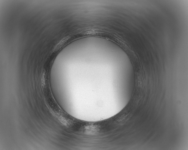 X0000078830216200612041822