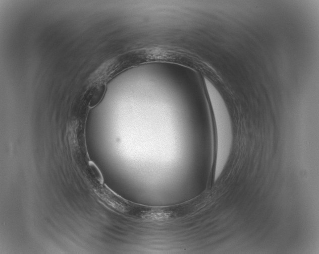 X0000078830217200612041822