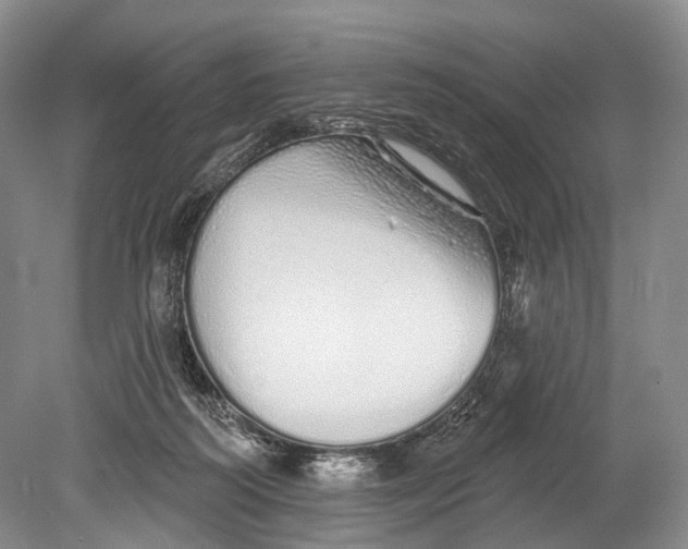 X0000078830218200612041822