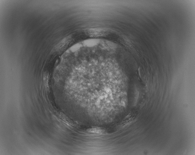 X0000078830219200612041822