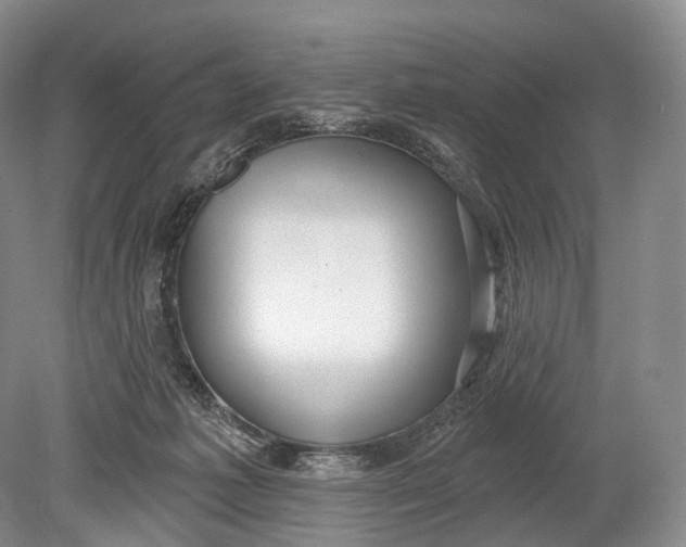 X0000078830221200612041822