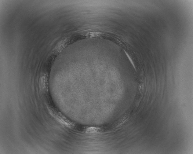 X0000078830222200612041822