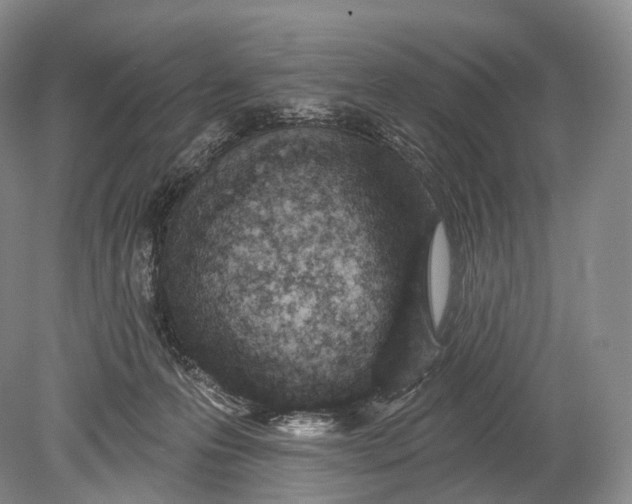 X0000078830223200612041822