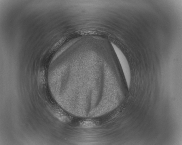 X0000078830224200612041821