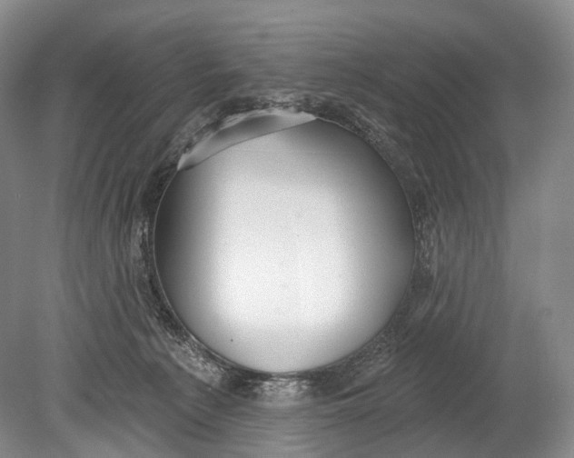 X0000078830225200612041821