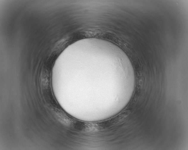 X0000078830226200612041821