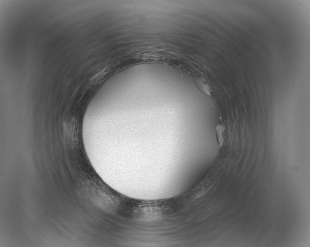 X0000078830228200612041821