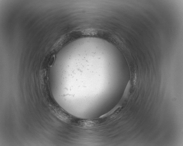 X0000078830229200612041821