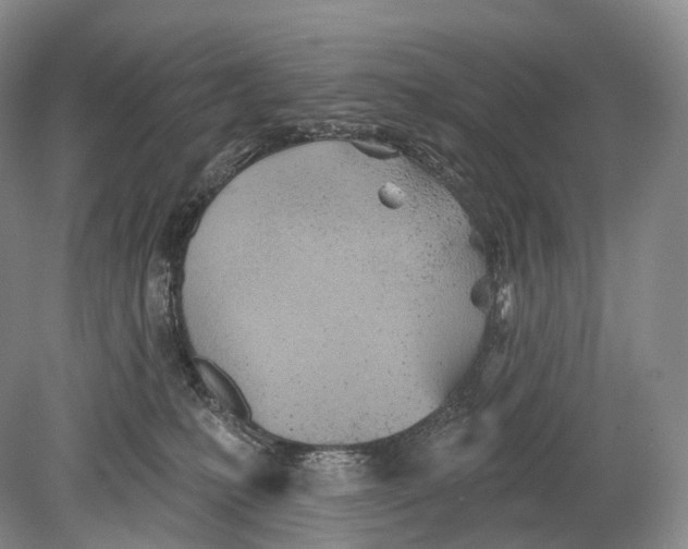 X0000078830231200612041821