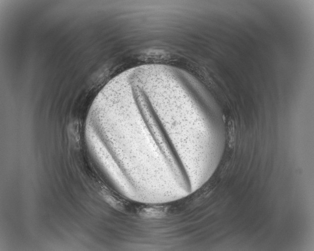 X0000078830232200612041821