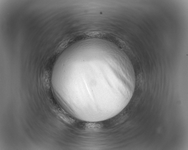 X0000078830234200612041821