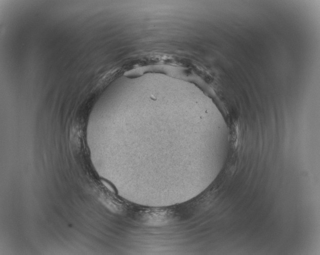 X0000078830235200612041821