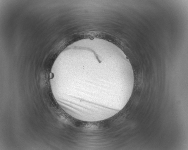 X0000078830236200612041821