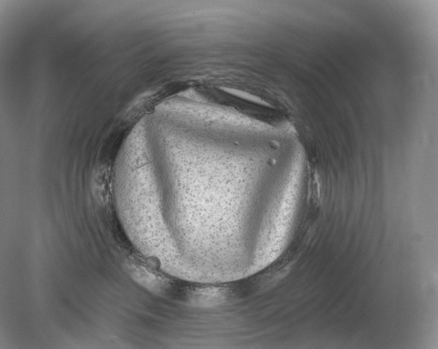 X0000078830237200612041821