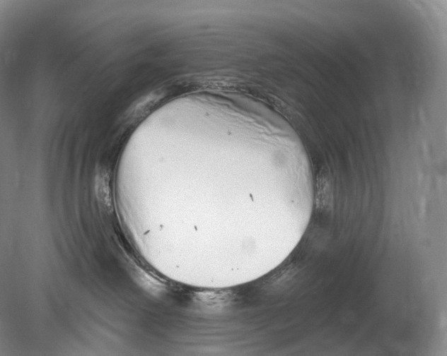 X0000078830238200612041821