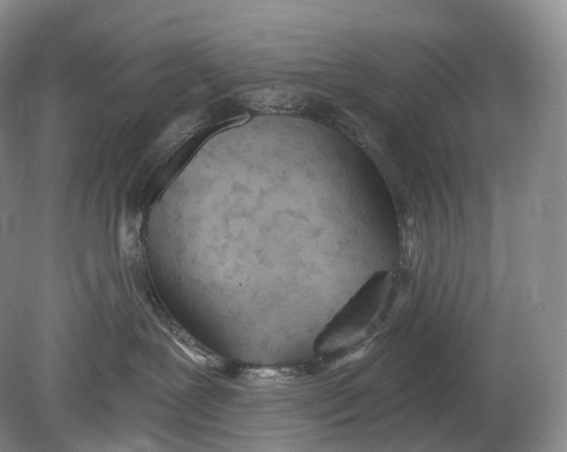 X0000078830239200612041821