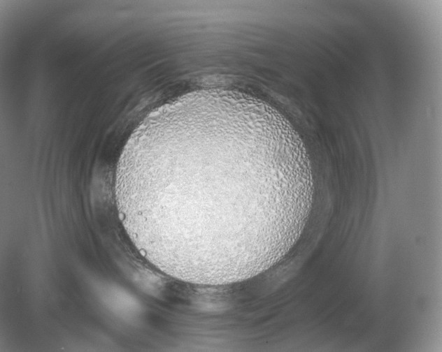 X0000078830240200612041821