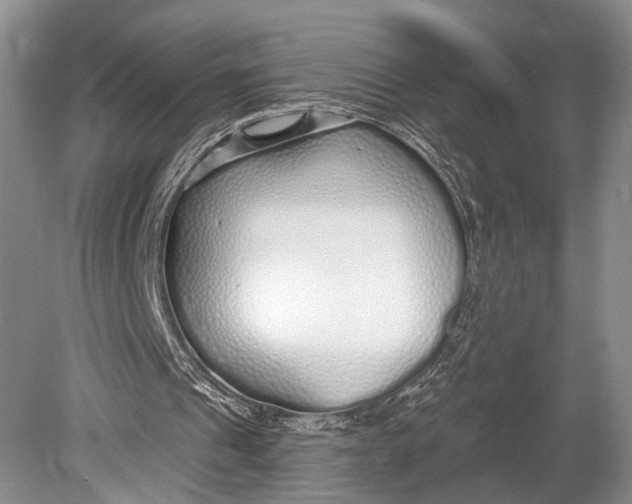 X0000078830241200612041820