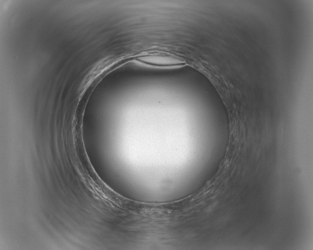 X0000078830242200612041820