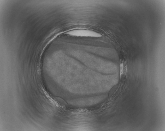 X0000078830243200612041820