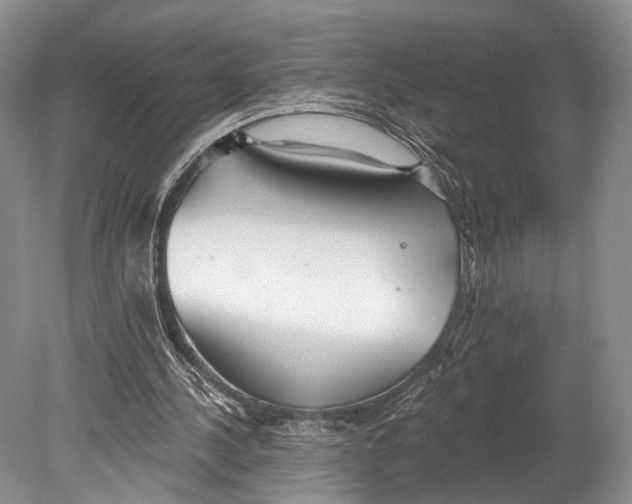 X0000078830244200612041820